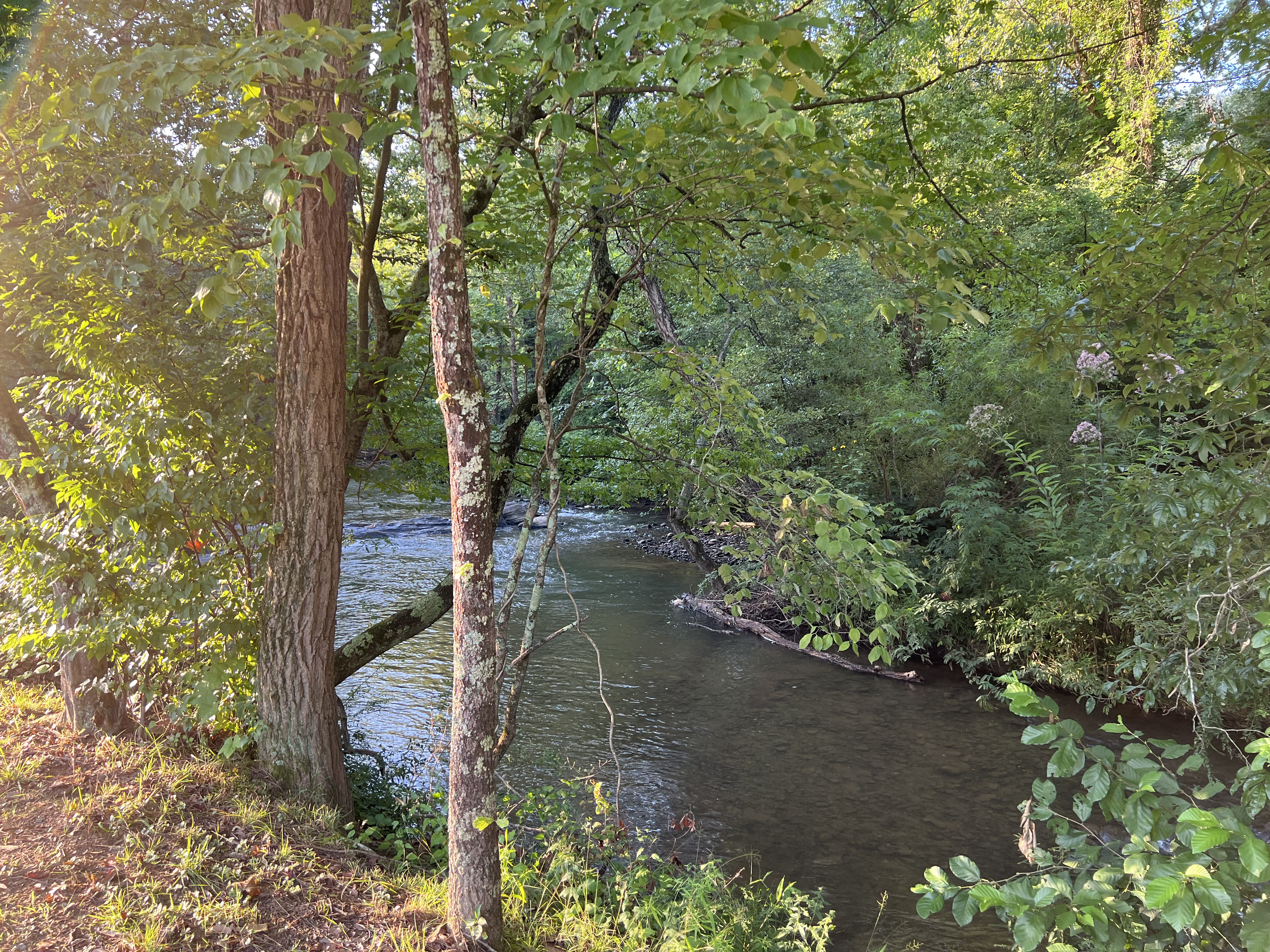 ./2023/11 - Asheville/IMG_9766.jpg